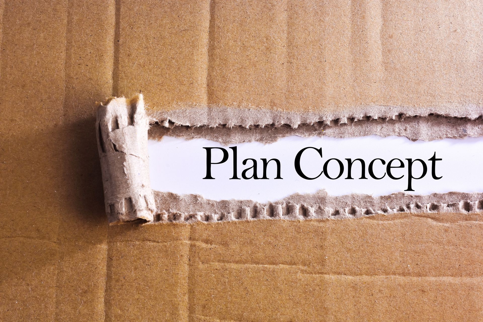 Torn paper box with word Plan concept